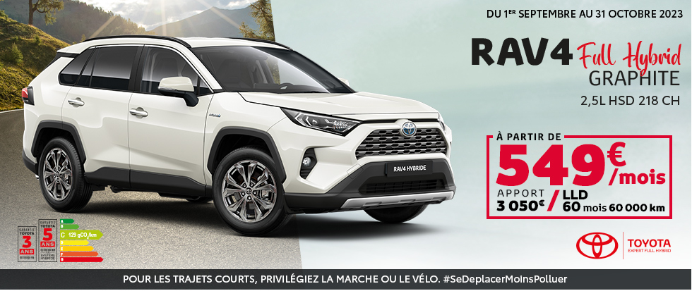 RAV4 Graphite
