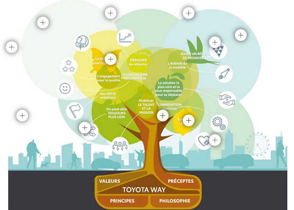 La culture Toyota : l’humain  au cœur de la réussite